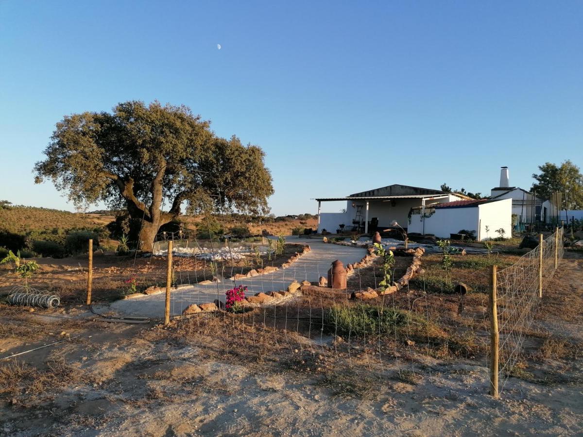 Monte Beatriz Villa Reguengos de Monsaraz Buitenkant foto